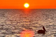 Daytona Beach Sunrise Cruise on the Atlantic Ocean thumbnail 1