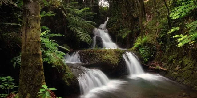 Big Island Waterfall Tour with Swimming and Botanical Garden - Image 4