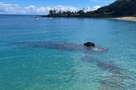 Hawaii Circle Island Tour thumbnail 4