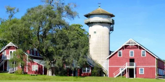 Boston Cranberry Farm Tour - Image 3