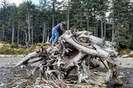 Portland Oregon Coast and Wine Tasting Tour thumbnail 6