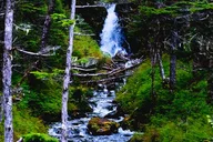Anchorage Wilderness Photo Tour thumbnail 3