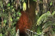 Hawaii Volcanoes National Park Tour from Maui thumbnail 5