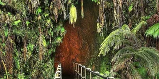 Hawaii Volcanoes National Park Tour from Kona