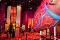 Houston Museum Pass thumbnail 2