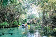 Rock Springs Glass Bottom Kayak Eco Tour 2 hr thumbnail 2