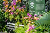 New York Botanical Garden Tour thumbnail 3