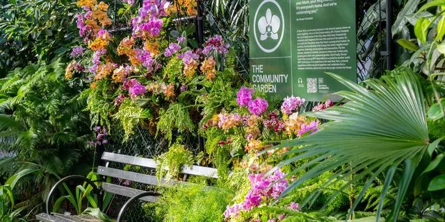 New York Botanical Garden Tour - Image 3