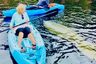 St. Augustine Dolphin and Manatee Paddle Tour 2 hr thumbnail 1