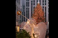 New York City Christmas Lights Rickshaw Tour thumbnail 6