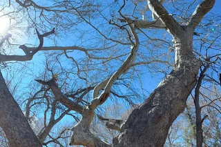 Sedona Oak Creek Canyon Tour with Chapel Visit