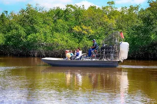 Miami Everglades Airboat Tour