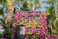 New York Botanical Garden Tour thumbnail 1