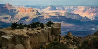 Arizona Winery Tour with Lunch and Tastings
