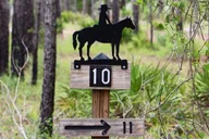 Lake Louisa Horseback Ride thumbnail 6