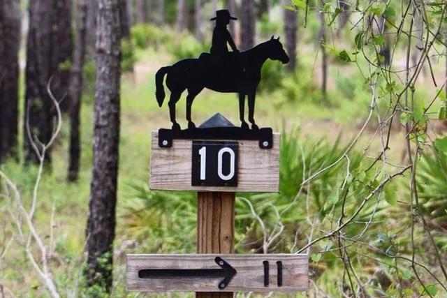 Lake Louisa Horseback Ride - Image 6