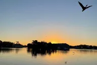 Crystal River Private Boat Tour thumbnail 6
