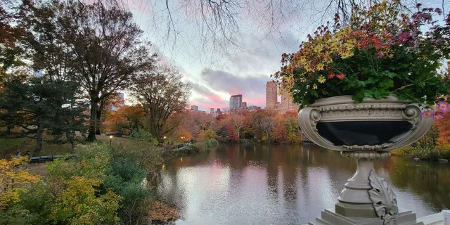 New York Central Park Walking Tour - Image 5
