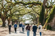 New Orleans Oak Alley Plantation and Airboat Tour thumbnail 5