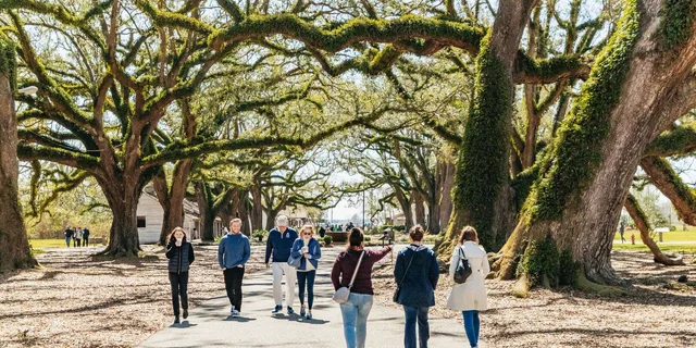 New Orleans Oak Alley Plantation and Airboat Tour - Image 5