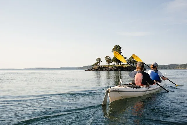 Friday Harbor Kayaking Tour 3 hr - Image 5