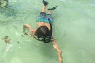 Key Largo Fish & Snorkel Tour 4 hr thumbnail 6
