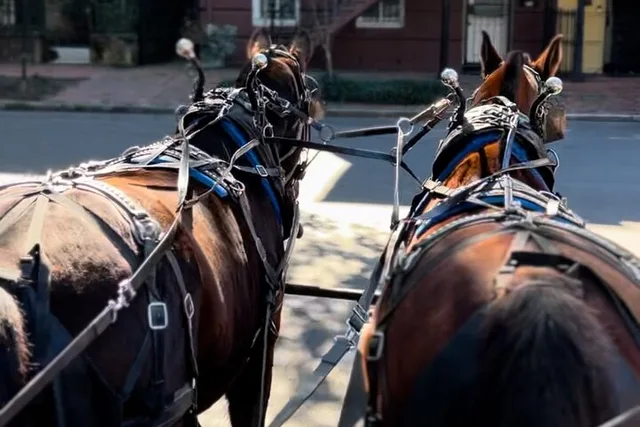 Savannah Horse-Drawn Carriage Tour - Image 5