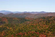 Blue Ridge Mountains Scenic Driving Tour thumbnail 5