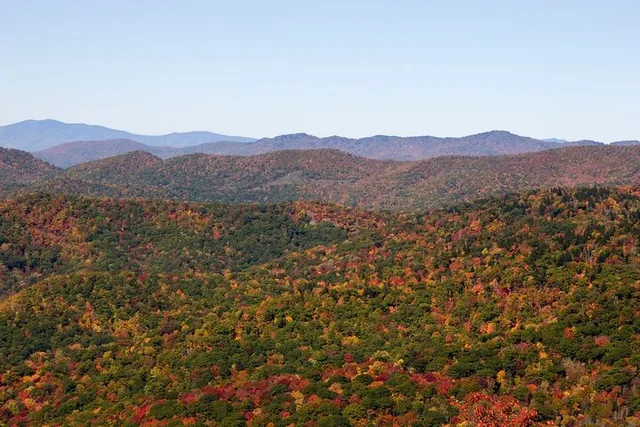 Blue Ridge Mountains Scenic Driving Tour - Image 5