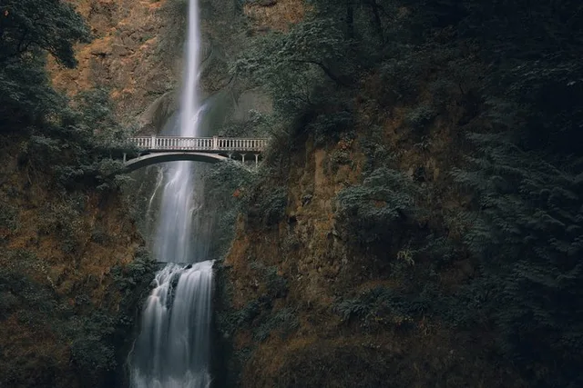 Portland Columbia Gorge Waterfalls and Wineries Tour - Image 2