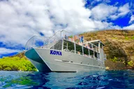 Kailua-Kona Marine Life and Snorkel Tour thumbnail 5