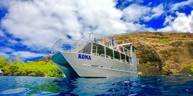 Kailua-Kona Marine Life and Snorkel Tour - Image 5