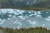 Seward Helicopter Tour to Bear Glacier 45 min thumbnail 2