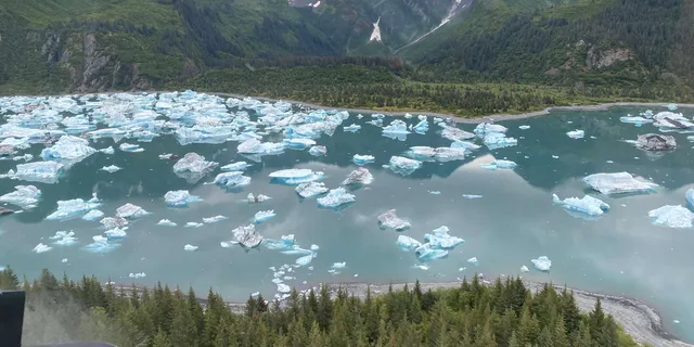 Seward Helicopter Tour to Bear Glacier 45 min - Image 2