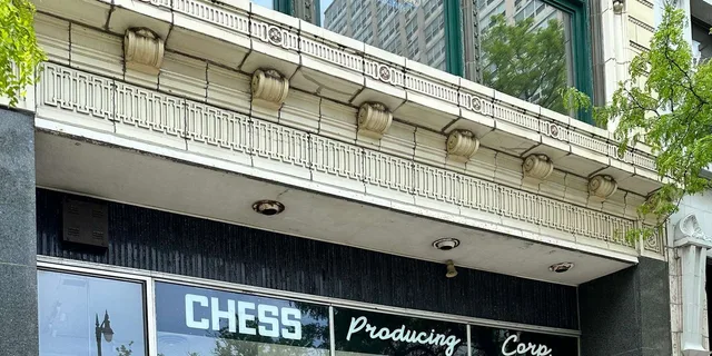 Chicago Black Heritage Tour - Image 5