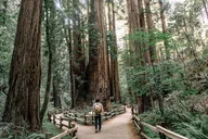 San Francisco Muir Woods and Sausalito Tour thumbnail 5