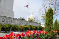 Washington DC City Tour Multilingual 4 hr thumbnail 4