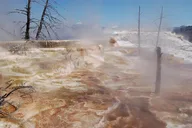Yellowstone Upper Loop Tour thumbnail 4
