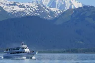 Seward Orca Quest Cruise in Resurrection Bay 4 hr thumbnail 1