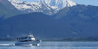 Seward Orca Quest Cruise in Resurrection Bay 4 hr