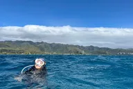 Honolulu Scuba Diving Two Shallow Reefs 3 hr thumbnail 6