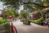 Savannah Walking Tour and River Cruise thumbnail 4