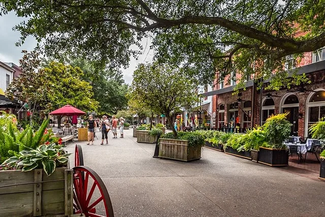 Savannah Walking Tour and River Cruise - Image 4