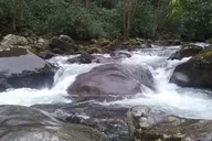 Great Smoky Mountains Clear Creek Falls Hike thumbnail 3