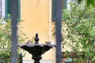 New Orleans Private Driving Tour thumbnail 2