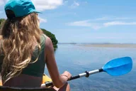 Key West Kayak, Snorkel & Morning Sail thumbnail 5