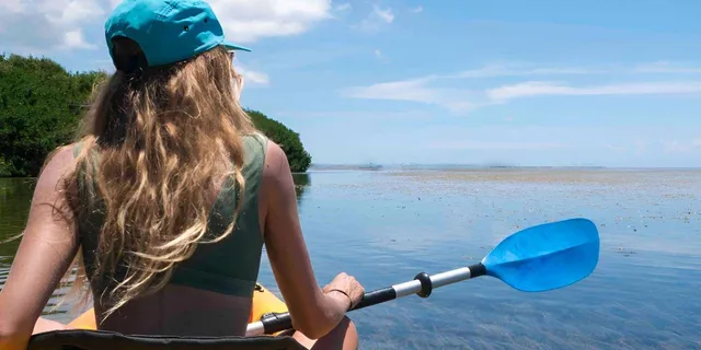 Key West Kayak, Snorkel & Morning Sail - Image 5