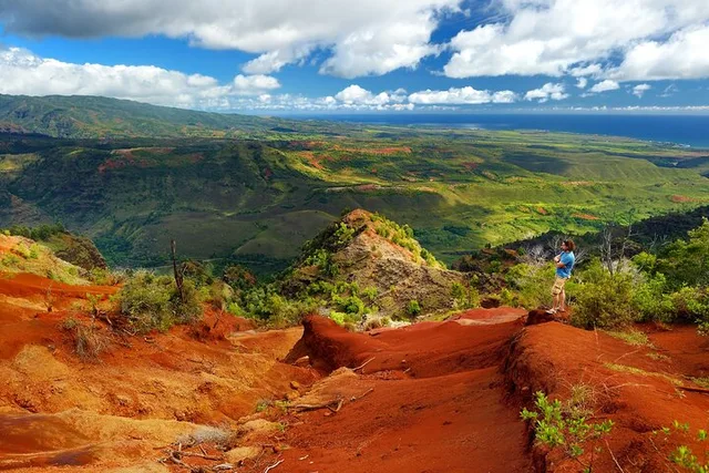 Kauai Waimea Canyon & Koke'e Tour from Oahu - Image 2