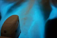 Cocoa Beach Bioluminescence Boat Tour 2 hr thumbnail 3