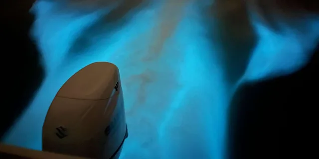 Cocoa Beach Bioluminescence Boat Tour 2 hr - Image 3
